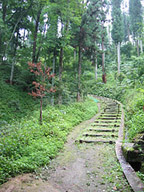 南部神社の杜（遠野）。