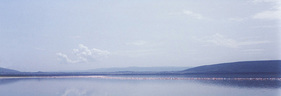 ナクル湖