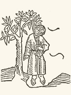 かわいそうなユダ……。（オットー・ボルスト『中世ヨーロッパ生活誌』白水社 掲載のヨハネス・デ・モンテヴィリャ、1481年？『旅行記』図版から）