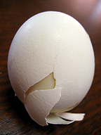 「卵」じゃなくて「壊れた卵」。
